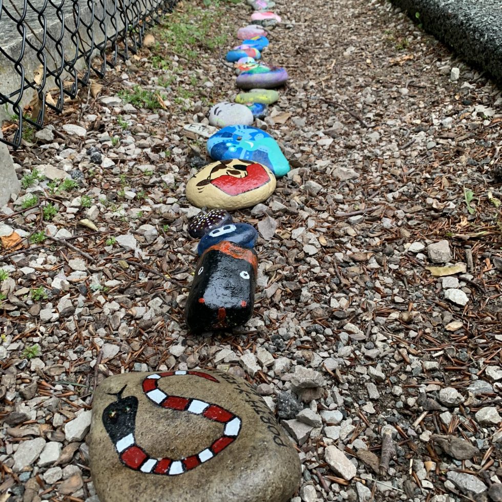 Painted stones lined up on the ground next to the pavement